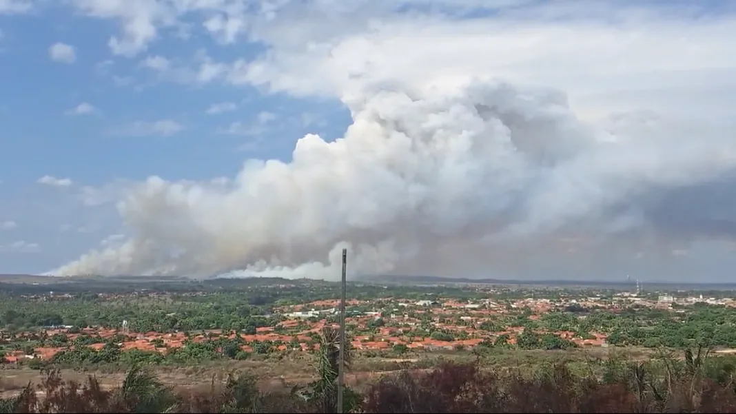 Captura_de_tela_2024-12-23_105317_4X