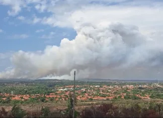 Incêndio de grandes proporções destrói casas e mata animais na zona rural de Coroatá