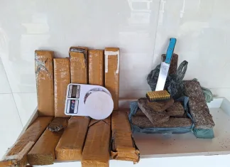 Polícia Militar apreende 16 kg de maconha e munições durante operação em Coroatá