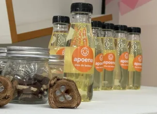 Startup de Coroatá receberá aporte mínimo de R$ 45 mil em premiação durante evento climático em São Paulo e garante vaga na COP30