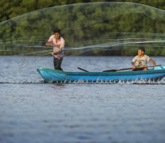 Ministério da Pesca e Aquicultura suspende mais de 200 licenças de pescadores por indícios de fraude em Coroatá/MA