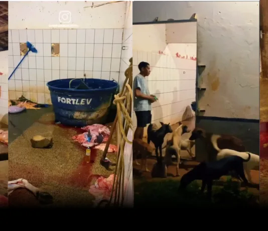 Escândalo Sanitário: Matadouro de Nova Iorque do MA funciona em meio a sujeira, cães e carne no chão